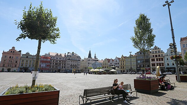 Habry ve velkch kvtinch jsou doasn umstn na nmst Republiky v Plzni. Zasadil je tam Nadan fond Plze sob, kter o jejich ppadnm setrvn uspodal anketu. (22. 6. 2022)