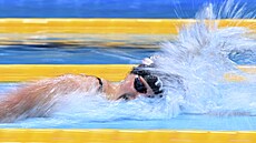 Katie Ledecká plave 800 metrů volným způsobem.