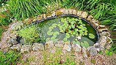 I malé jezírko na zahrad� ud�lá hodn� radosti.