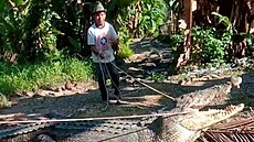 Indonésan za pomocí lana chytil čtyřmetrového krokodýla (25. června 2022)