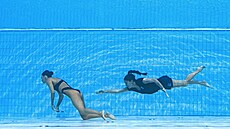 Na pomoc jí ihned přispěchala její trenérka Andrea Fuentesová, která ji z vody... | na serveru Lidovky.cz | aktuální zprávy