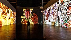 V Jízdárn Praského hradu zaíná výstava pohyblivých obraz Alfonse Muchy....
