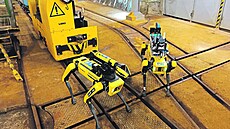 Robopsi nemají problém t�eba vyb�hnout schody.