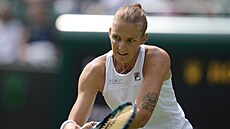 Karolína Plíková v utkání prvního kola Wimbledonu.