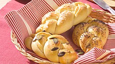 Dom�c� housti�ky