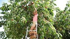 Vrch T�e��ovka je voln� p�ístupný, ani na T�e��obraní �ádný vstup neplatíte a...