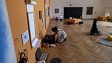 Hned temi výstavami zahájila letní sezonu Galerie výtvarného umní Ostrava....