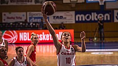 eská basketbalistka Elika Hamzová útoí v zápase s Polskem.