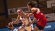 eská basketbalistka Petra Holeínská (vlevo) útoí v zápase s Polskem.