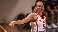 Česká basketbalistka Petra Holešínská v zápase s Polskem