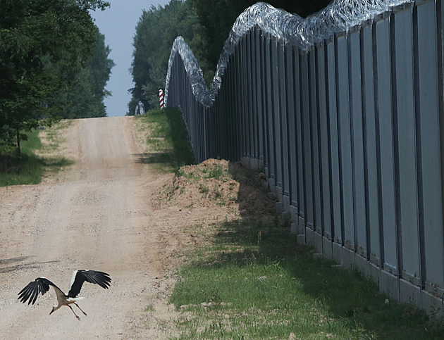 Ničíte náš plot, obviňuje Bělorusy Polsko. Proudí tam osmdesát uprchlíků denně