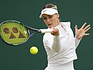Rumunská tenistka Ana Bogdanová ve druhém kole Wimbledonu