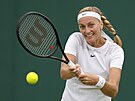 eská tenistka Petra Kvitová se opela do úderu ve druhém kole Wimbledonu.
