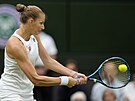 eská tenistka Karolína Plíková se ve druhém kole Wimbledonu opírá do úderu.