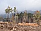 eský les je pomrn ídce osídlená oblast s nádhernými scenériemi, která ale...