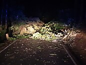 Popadané stromy na Semilsku po noční bouřce. (29. června 2022)