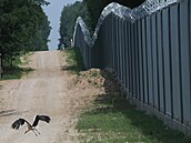 Pohled na nový plot na hranicích Polska s Běloruskem. (30. června 2022)