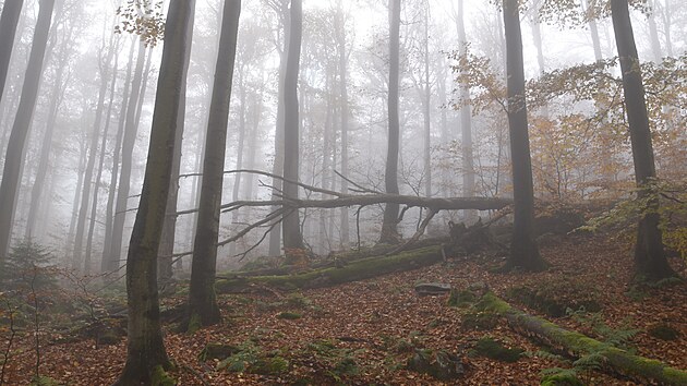 Český les je poměrně řídce osídlená oblast s nádhernými scenériemi.