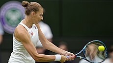 eská tenistka Karolína Plíková se ve druhém kole Wimbledonu opírá do úderu.