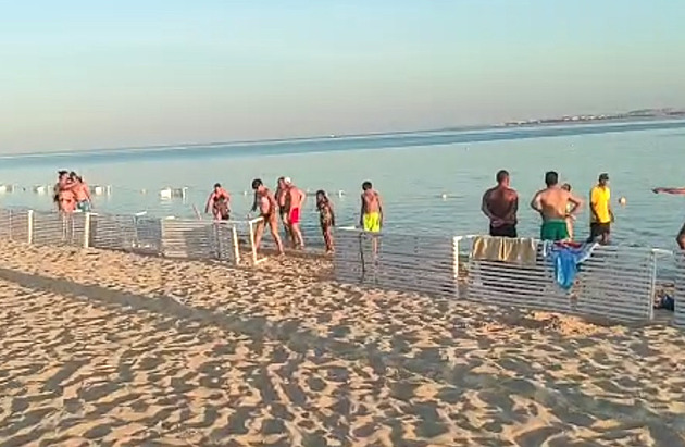 Český turista varuje před množstvím žraloků v Hurghadě. Přilákaly je obětní ovce?