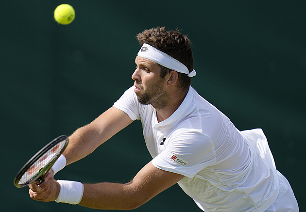 Veselý si obnovil zranění stehna, baráž Davis Cupu v Izraeli vynechá