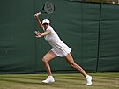 Ajla Tomljanovicová bhem zápasu tetího kola Wimbledonu.