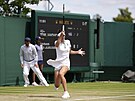 Ajla Tomljanovicová bhem zápasu tetího kola Wimbledonu.