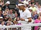 Rafael Nadal v osmifinálovém zápase Wimbledonu.