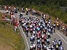Peloton ve tetí etap Tour de France