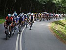 Peloton ve tetí etap na Tour de France