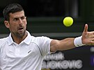 Srb Novak Djokovi returnuje ve tvrtfinále Wimbledonu.