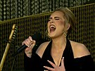 Zpvaka Adele na koncert v londýnském Hyde Parku