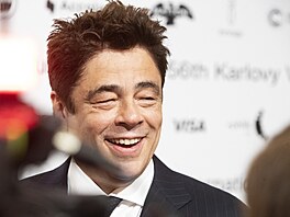 Benicio del Toro zdraví fanouky na erveném koberci ped hotelem Thermal (8....
