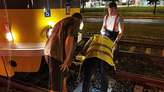 Opil ofr si v Plzni spletl tramvajov kolejit se silnic.