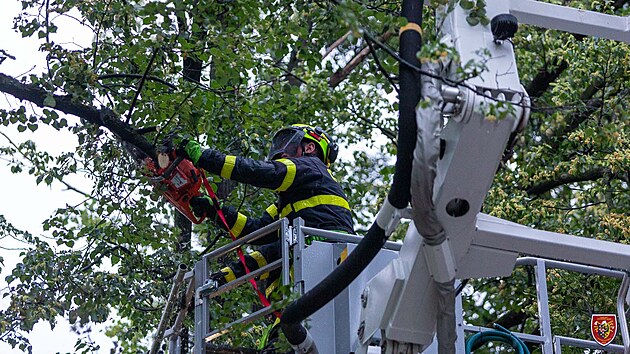 Hasii v Moravskoslezskm kraji mli destky vjezd kvli popadanm stromm, zaplavenm sklepm i pokozenm stechm. (1. ervence 2022)