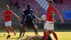 imon Falta z Brna zpracovává mí.