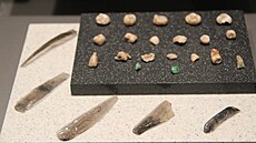 Zubní šperky byly dostupné napříč mayskou společností.