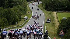 Peloton v esté etap na Tour de France