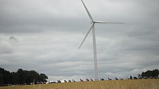 Peloton v esté etap na Tour de France