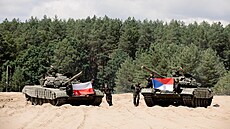 Náčelník ukrajinských ozbrojených sil poděkoval Česku a Polsku za tanky. (5.... | na serveru Lidovky.cz | aktuální zprávy