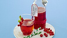 Limon�da z ryb�zov�ho sirupu