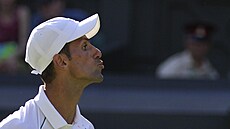 Novak Djokovi v semifinále Wimbledonu.