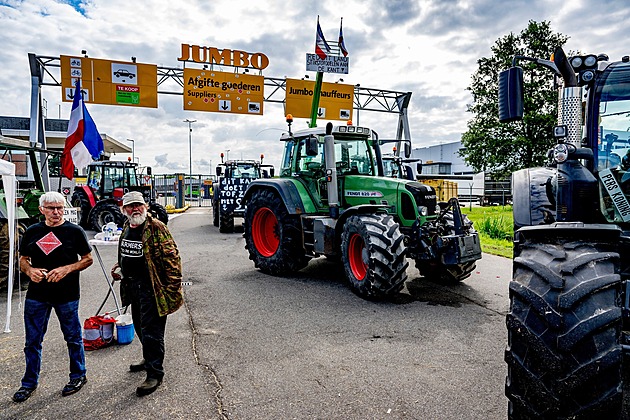 KOMENTÁŘ: Tulipáni, to jsou páni. Kdy někomu začnou vadit i české krávy