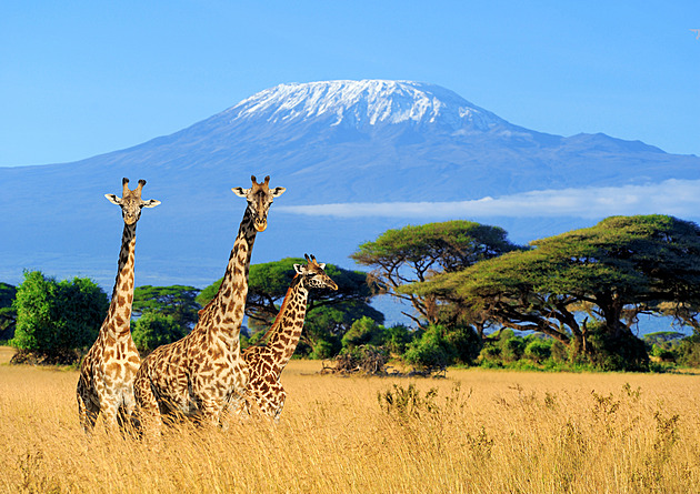 Tanzanie zavedla internet na Kilimandžáro. Vrchol ho bude mít do konce roku
