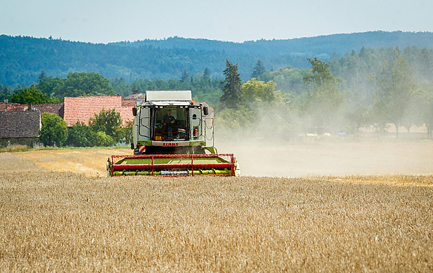 Je po žních. Čeští zemědělci sklidili už téměř celou úrodu obilovin a řepky