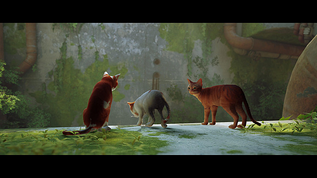 Kočičí dobrodružství Stray nadchlo natolik, že se chystá i film