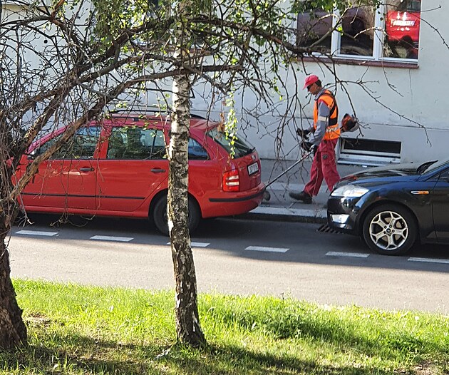 Dobrý de, príde mi absurdné ako istia plevel na Prahe 6. Krovinorezom medzi autami. U som si to ped njakou dobou vimol a dnes mi to nedalo posla vám to do redakcie. Krovinorez má vysoké otáky a dokáe utrhnut i ást asvaltu, alebo kamienok a po