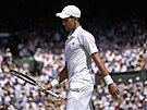 Novak Djokovi kontroluje svoji raketu ve finále Wimbledonu.