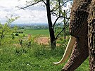 Na �eky�sk�m kopci u P�erova bude st�t rozhledna. O v�stavb� a� t�icet metr�...