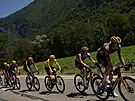 Peloton ve 13. etap Tour de France v ele s týmem Jumbo Visma, který táhne...